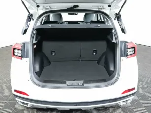 Chery  20