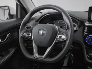 Changan  10