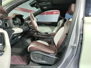 Geely  13