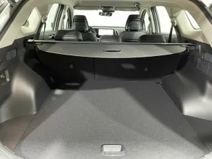 Kia  6