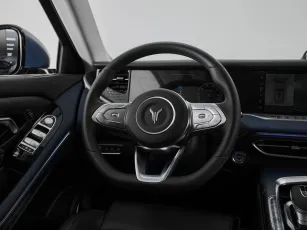 Voyah  10