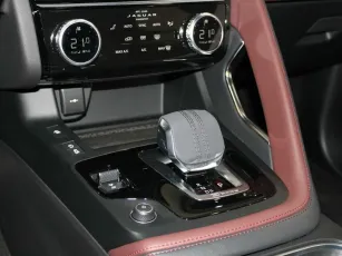 Jaguar  11
