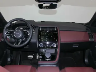 Jaguar  12