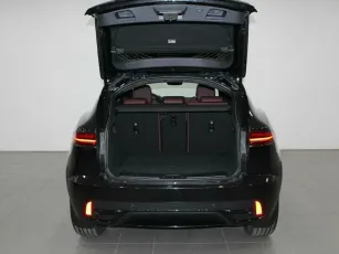 Jaguar  6