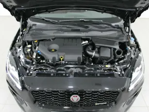 Jaguar  7