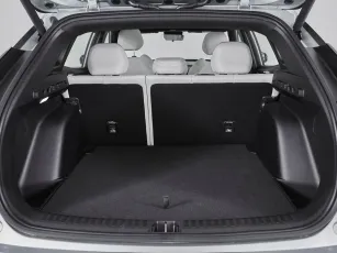 Geely  20