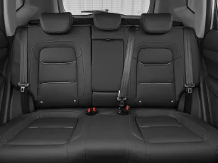 Chery  20