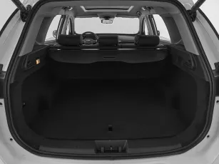Chery  21