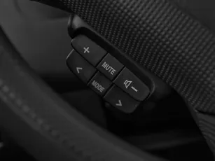 Suzuki  15