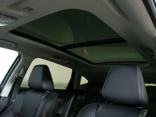 Haval  11