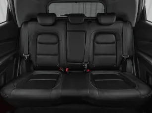 Chery  20