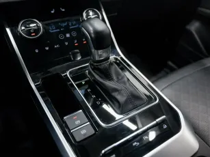 Chery  20