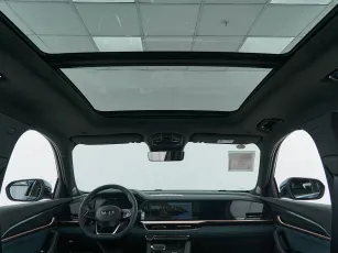 Geely  21
