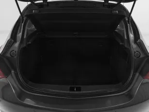 Opel  20