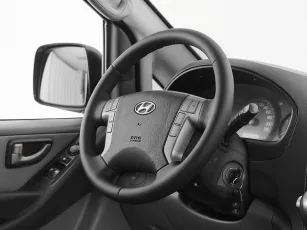 Hyundai  10