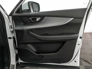 Chery  20