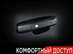 Chevrolet  19