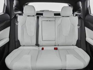 Geely  22