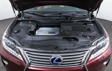 Lexus  7