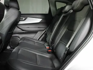 Chery  20