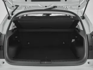 Haval  21