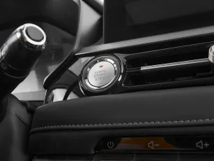 Chery  13