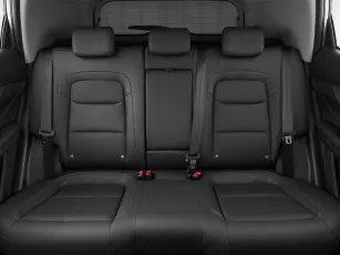 Chery  21