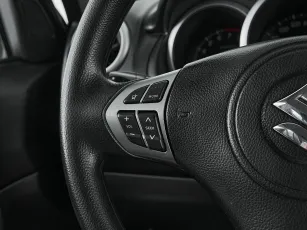 Suzuki  13