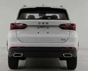 SWM  5