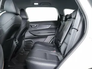 Chery  20