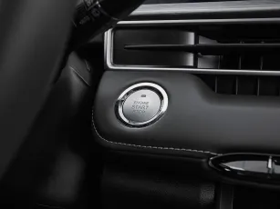 Chery  20