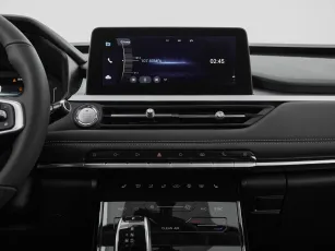 Chery  20