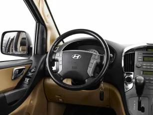 Hyundai  10