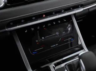 Chery  20