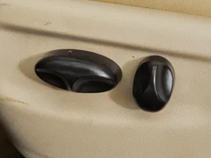 Jaguar  11