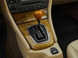 Jaguar  13