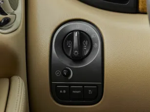 Jaguar  15