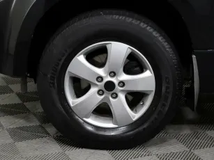Suzuki  7