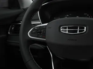 Geely  21