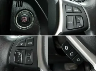 Suzuki  15
