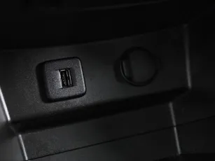 Suzuki  12