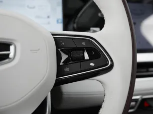 Geely  19