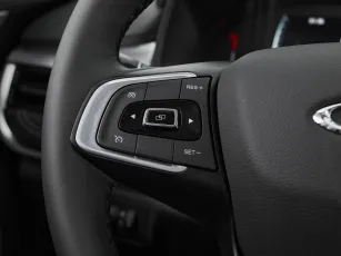 Chery  21