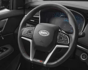 SWM  10
