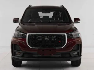 SWM  2