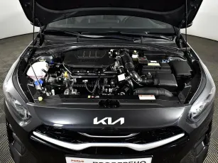 Kia  6