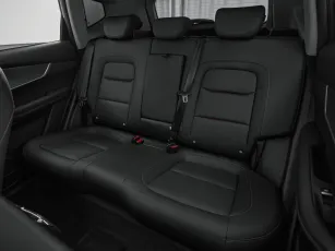 Chery  20