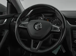 Skoda  10