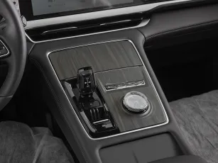Geely  21