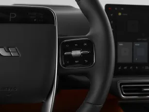 Li Auto (Lixiang)  9